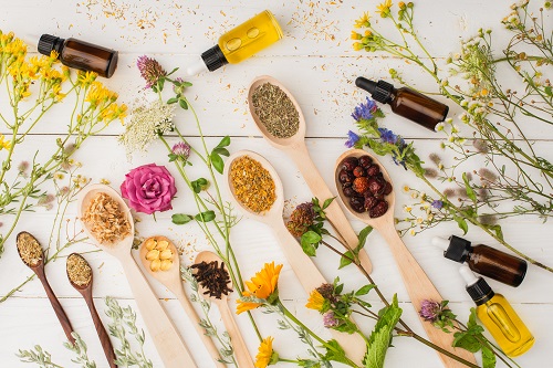 formation en naturopathie