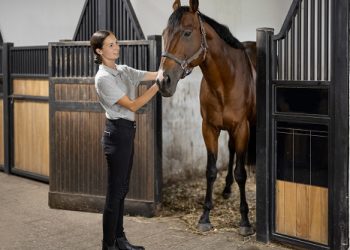 Compléments alimentaires pour cheval