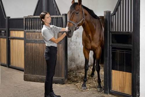 Compléments alimentaires pour cheval